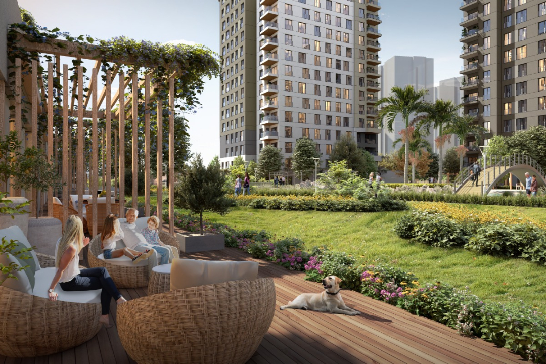 Green living space surrounded by various trees