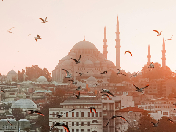 العقارات في تركيا