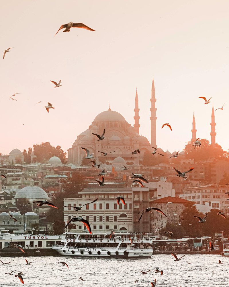 العقارات في تركيا