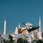 العقارات في تركيا